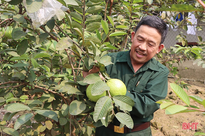 Đậu Văn Phùng