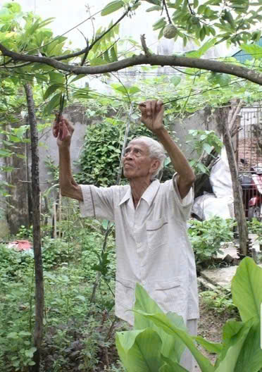 Năm Được