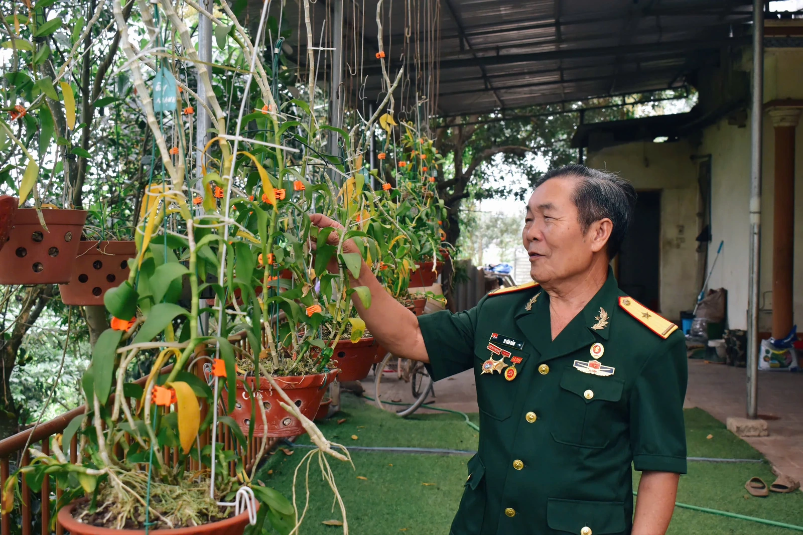 Vi Văn Đảm