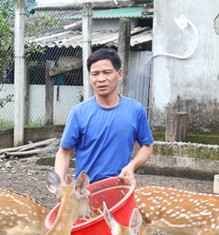 Phan Xuân Hành